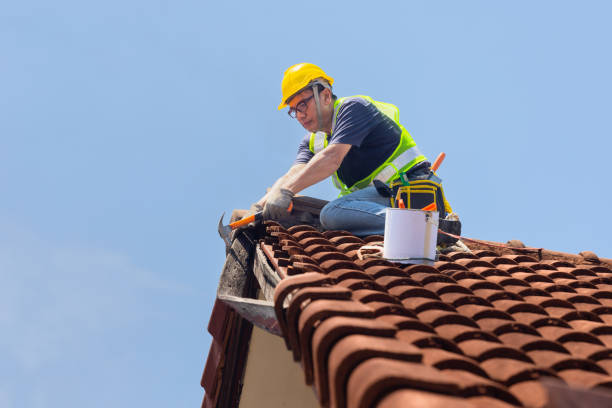 Best Chimney Flashing Repair  in Iowa City, IA